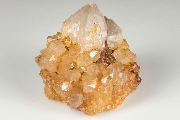 Sunshine Cactus Quartz Crystal Cluster - South Africa #191791